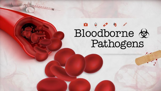 5 Bloodborne Pathogens You Should Be Aware Of