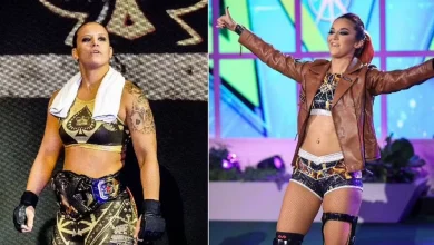 WWE Stars Who Belong to the LGBTQ Community